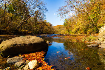 Autumn Along the Gunpowder (301/365) - image gratuit #502011